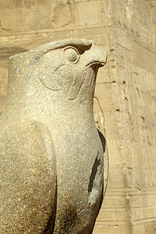 https://www.transafrika.org/media/Bilder Aegypten/horus.jpg